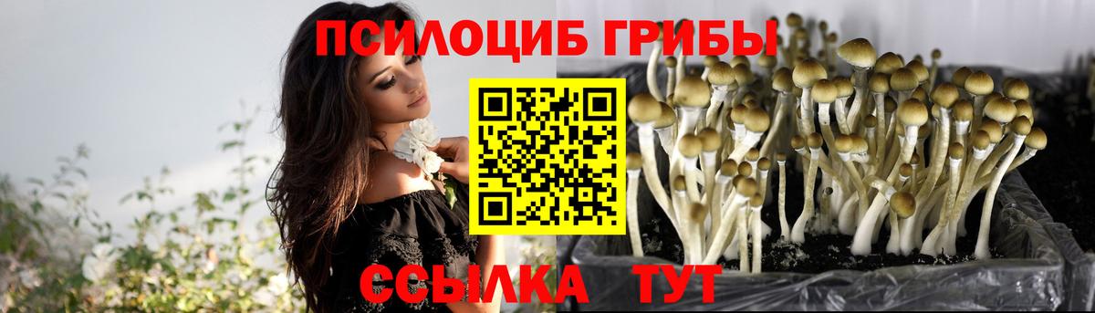 Псилоцибиновые грибы Magic Shrooms  Вход с VPN  Галлюциногенные грибы Psilocybe  Дюртюли 